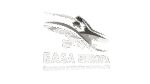 easa-removebg-preview